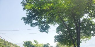 Çelet sezoni turistik në Dropull