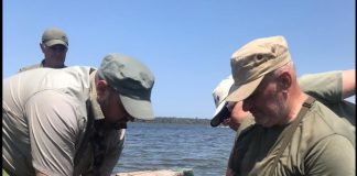 Divjakë-Karavasta, unazohen pelikanët e rinj