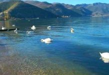Dita e Liqenit të Pogradecit, dhurata më e bukur që na ka falur natyra