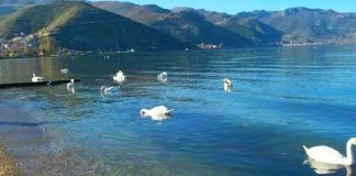 Dita e Liqenit të Pogradecit, dhurata më e bukur që na ka falur natyra
