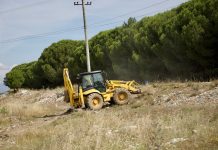 Pastrohen rreth 3200 m² sipërfaqe në Vilun