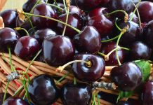 Qershitë e Zeza të Beratit – Tradita e Vërtetë e Frutave Shqiptare