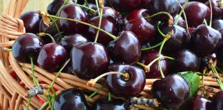 Qershitë e Zeza të Beratit – Tradita e Vërtetë e Frutave Shqiptare