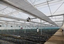 IPARD II, serrë e re në Fier për prodhim cilësor dhe me standarde