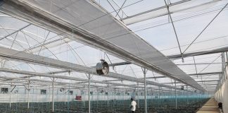 IPARD II, serrë e re në Fier për prodhim cilësor dhe me standarde