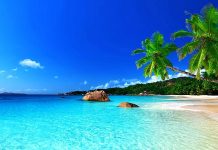 Dita Ndërkombëtare e Tropikëve