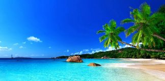 Dita Ndërkombëtare e Tropikëve