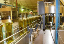 Zgjerim i shitjeve në tregun italian dhe europian, eksportet e vajit të ullirit u 4-fishuan