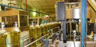 Zgjerim i shitjeve në tregun italian dhe europian, eksportet e vajit të ullirit u 4-fishuan