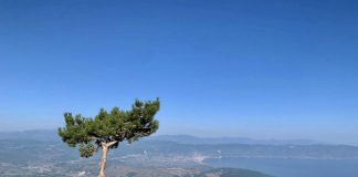 Shtegu Alarup-Pllaja e Pusit në Korçë, destinacion për të apasionuarit e alpinizmit