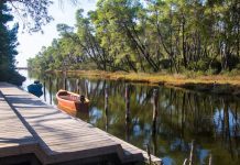 Dita Botërore e Ruajtjes së Natyrës, AKZM sjell 5 fakte pse duhet mbrojtur natyra