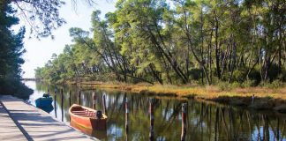 Dita Botërore e Ruajtjes së Natyrës, AKZM sjell 5 fakte pse duhet mbrojtur natyra