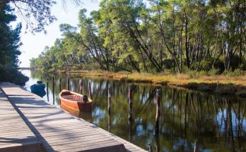 Dita Botërore e Ruajtjes së Natyrës, AKZM sjell 5 fakte pse duhet mbrojtur natyra