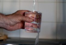 Dieta, alkooli dhe uji: Këshilla për shpëtimin veshkave në verë