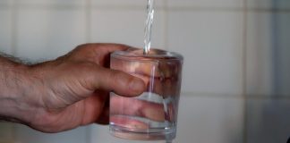 Dieta, alkooli dhe uji: Këshilla për shpëtimin veshkave në verë