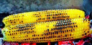 Koha e Misrave të Pjekur – Vlerat e Forta për Shëndetin