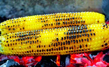 Koha e Misrave të Pjekur – Vlerat e Forta për Shëndetin