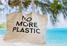 Dita Ndërkombëtare Pa Qese Plastike