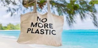 Dita Ndërkombëtare Pa Qese Plastike