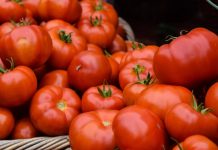 Domatja është Frut apo Perime – Cila Është e Vërteta