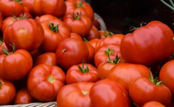 Domatja është Frut apo Perime – Cila Është e Vërteta