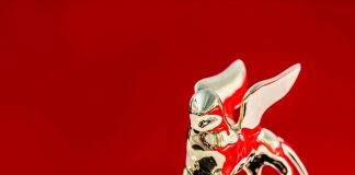 Erenik Beqiri, kandidat për një “Luan të artë” në Venecia