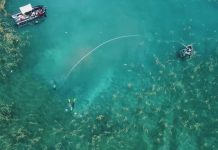 Radio Televizioni Zviceran – reportazh zbulimeve më të fundit të arkeologëve në Lin të Pogradecit