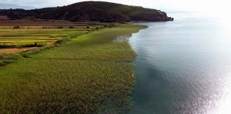 “UsaToday”: Zbulohet në Shqipëri zona më e vjetër e banuar në Evropë