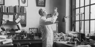 142 vite më parë u lind zbuluesi i penicilinës