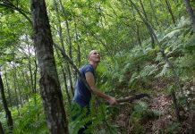 Zhvillimi i qëndrueshëm i pyjeve, BB: 229 komunitete rurale menaxhojnë mbi 12 mijë ha pyje