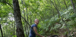 Zhvillimi i qëndrueshëm i pyjeve, BB: 229 komunitete rurale menaxhojnë mbi 12 mijë ha pyje