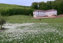 Bujtina “Shehu” në Kukës, ndalesa e preferuar për shumë vizitorë