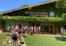 Divjakë-Karavasta, e preferuara e 208 mijë turistëve