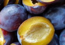 Vlerat e Rralla të Kumbullave të Zeza