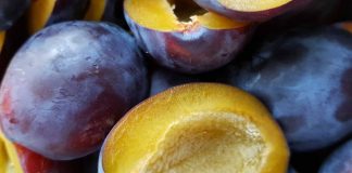 Vlerat e Rralla të Kumbullave të Zeza