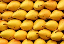 Dardha – Fruti që Dardanët i falën Botës