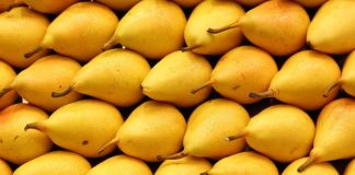 Dardha – Fruti që Dardanët i falën Botës