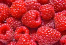 Pak Sheqer dhe Shumë Antioksidantë – Mjedrat për Diabetin, Trurin dhe Peshën