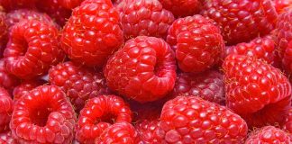 Pak Sheqer dhe Shumë Antioksidantë – Mjedrat për Diabetin, Trurin dhe Peshën