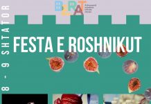 “Festa e Roshnikut”, panair për promovimin e produkteve të zonës