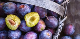 Kumbulla e zezë e Veriut, ndër frutat më të kërkuara nga tregu europian