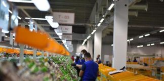 Ekonomia ecuri pozitive, të ardhurat 48.5 miliardë lekë më të larta