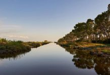 Divjakë-Karavasta pol i turizmit natyror, 186 mijë vizitorë vetëm në gusht