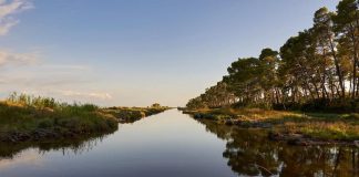 Divjakë-Karavasta pol i turizmit natyror, 186 mijë vizitorë vetëm në gusht