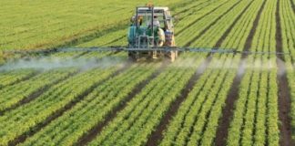 BB mbështetje tri shtyllave kyçe të bujqësisë