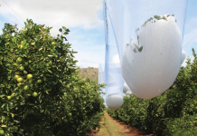 Fermerët, investime për uljen e riskut nga dëmtimet atmosferike