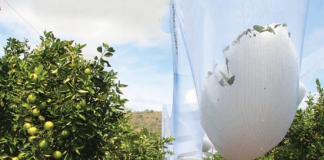 Fermerët, investime për uljen e riskut nga dëmtimet atmosferike