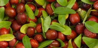 Hidet Shqiptare Dalin në Treg – Cilat Janë Vlerat e Frutit Magjik