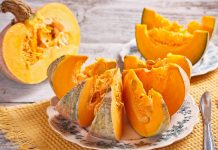 Dueli i Vlerave – Kungulli i Verdhë Përballë Kungulleshkave