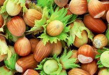 Lajthitë e Njoma dhe të Freskëta – Pse Duhen Patjetër Për Organizmin